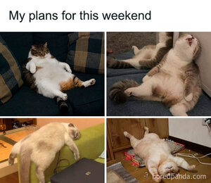 weekendplans.jpg