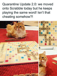 scrabble.jpg