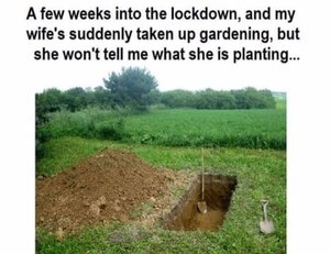 Wife Gardening.jpg