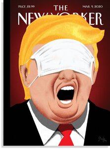 TrumpFaceMask.jpg