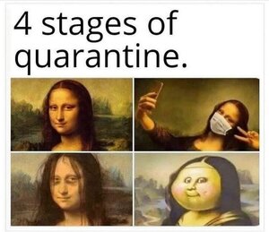 4stagesofquarantine.jpg