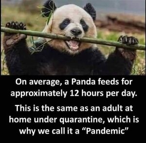 pandademic.jpg