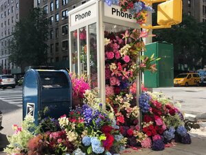 072519flowerbooth.2e16d0ba.fill-661x496.jpg