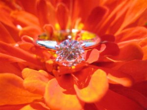 Ring Flower 1.jpg