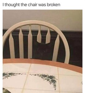 catinchair.jpg