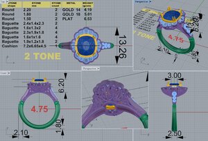 Ring Cad 2.jpg