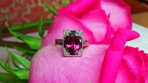 raspberryspinel6.jpg