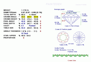 PAINTEDEXREPORT.gif