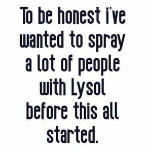 lysolspray.jpg