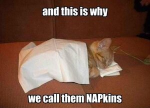 napkins.jpg