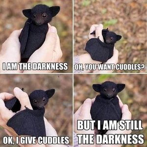 darknessandcuddles.jpg