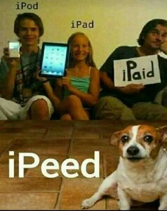 ipaid.jpg