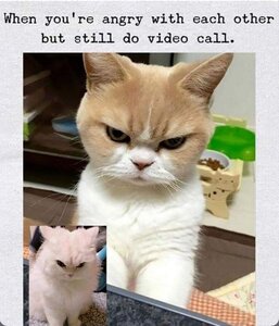 videocall.jpg