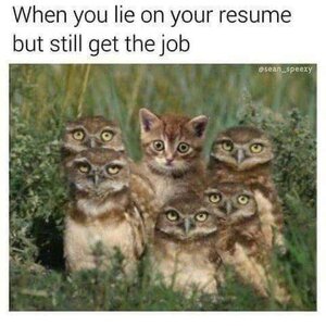 resume.jpg