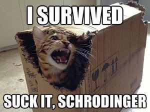 SuckitSchrodinger.jpg