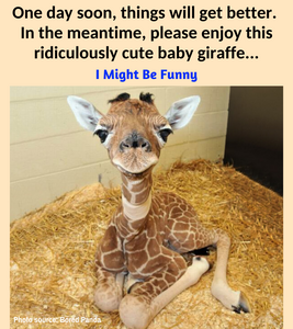 enjoythegiraffe.png