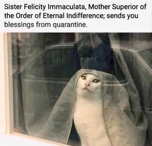 quarantineblessings.jpg