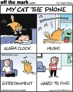 mycatthephone.jpg