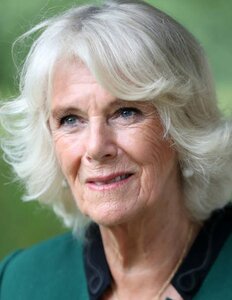 duchess-of-cornwall-8.jpg