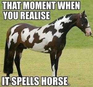 horsespelledhorse.jpeg