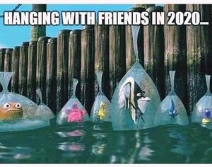 hangingwithfriendsin2020.jpg