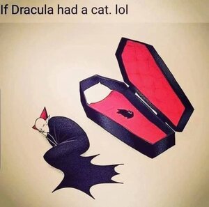 draculascat.jpg