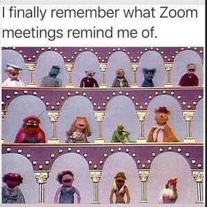 zoommeetings.jpg