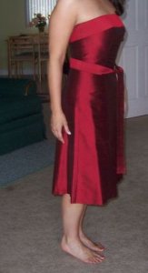 ariabm dress.jpg