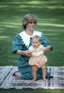 diana-princess-of-wales-sitting-on-a-blanket-holding-her-news-photo-52119555-1559840373.jpg