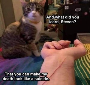 suicidecat.jpg