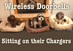 wirelessdoorbells.jpg