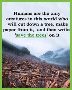 savethetrees.jpg