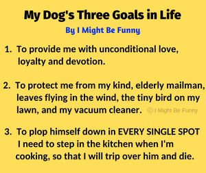 doggoals.png