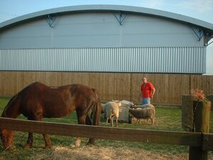 Bryan & Looby with the sheep.jpg