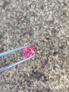 Spinel Mid pink outside strong sunlight 2.jpg