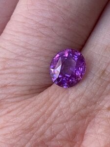 Purple Sapphire Shade Outside 2.jpg