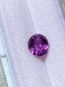 Purple Sapphire indoors 3.jpg