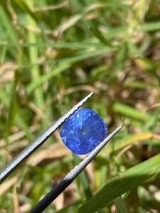 Mid Blue sapphire Outside Strong Aussie Sunlight 3.jpg