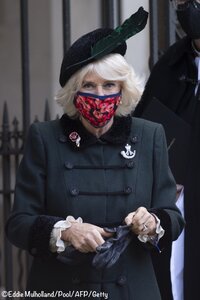 Camilla-Westminster-Abbey-Poppy-Mask-Field-Remembrance-Event-Nov-4-2020-EDDIE-MULHOLLAND-POOL-...jpg