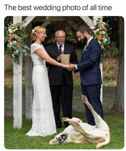 bestsweddingphoto.jpg