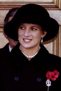 208244-princess-diana-at-enniskillens-remembrance-day-celebrations-14-novembe.jpg