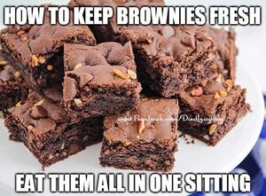 brownieseatthemall.jpg