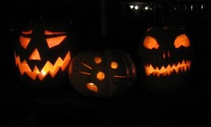 pumpkins 2006 b.jpg