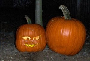 fatafelice pumpkin3.jpg