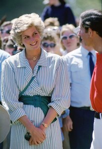 diana-princess-of-wales-joins-prince-charles-prince-of-news-photo-1606850419.jpeg