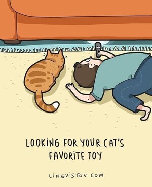 cattoysearch.jpg