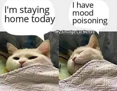 moodpoisoning.jpg