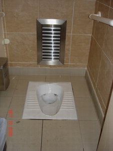 chinapics-toilet.jpg