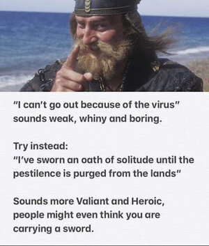 covid viking.jpg