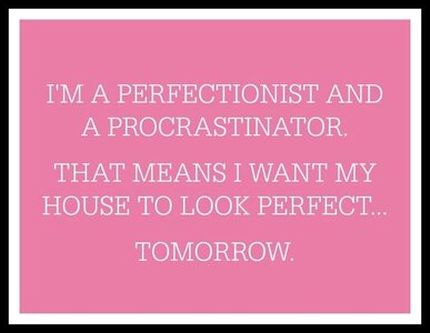 perfectionistandprocrastinator.jpg